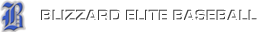 Blizzard Logo
